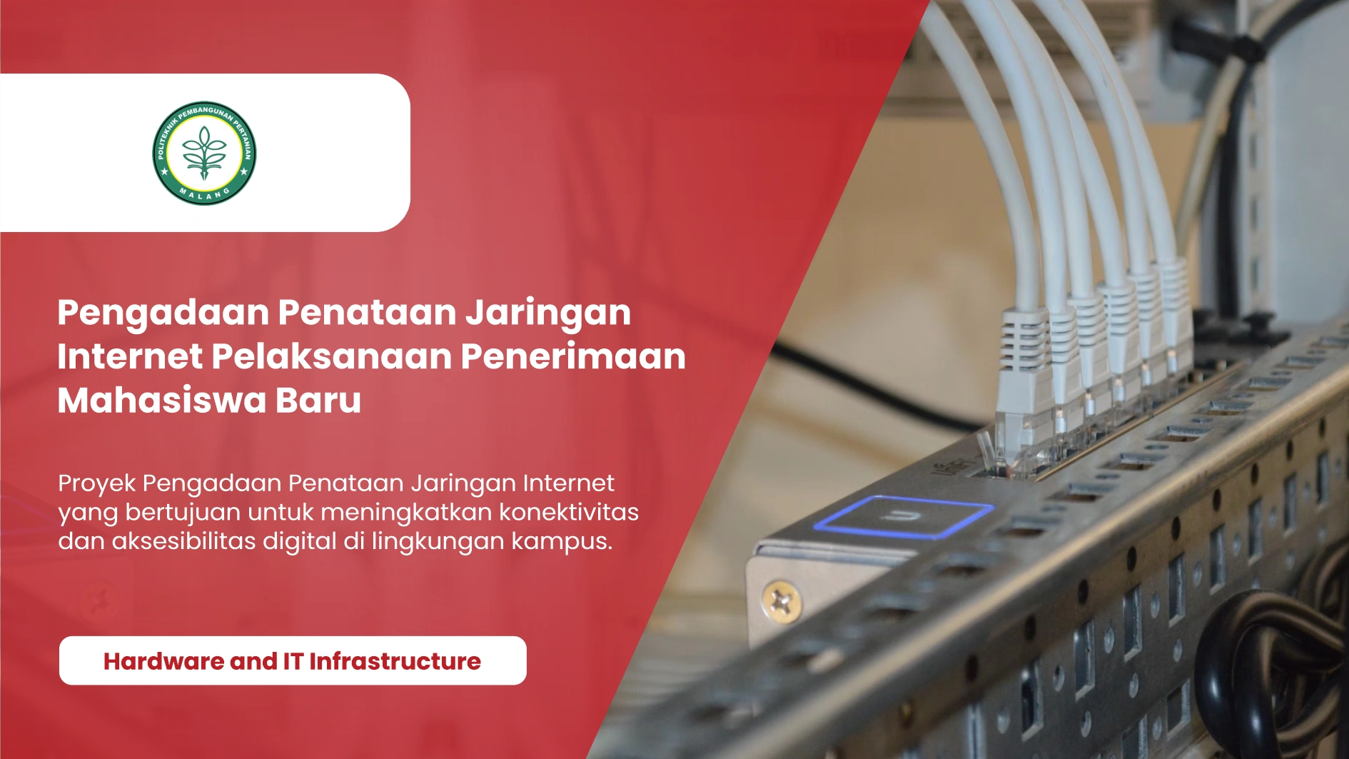 Jasa Konsultan IT